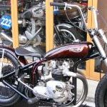 Triumph T100