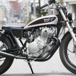 VOLTY250