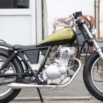 Volty 250  003